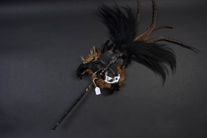 null Wolf mask for the Venice Carnival, Europe, 20th century
Made of feathers.
Bamboo...