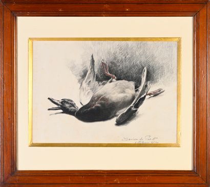 Xavier de Poret (1894-1975) The Duck
Pencil drawing enhanced with color
Signed lower...