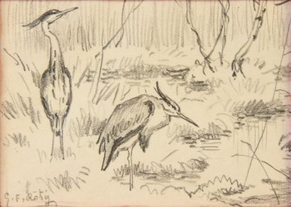 Georges Frédéric ROTIG (1873 - 1961) Deux hérons.
Crayon, signé en bas à gauche.
Encadré.
D....