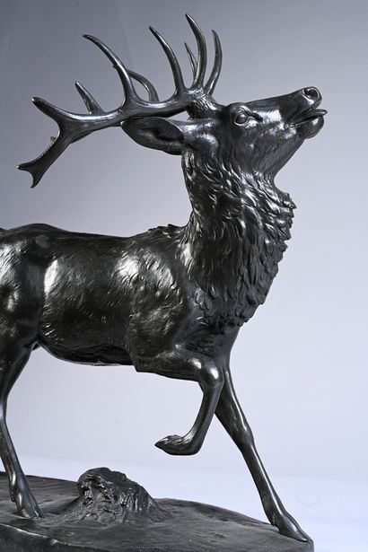 Antoine Louis Barye (1795-1875) d'après Deer of Virginia
Bronze with a brown-green...