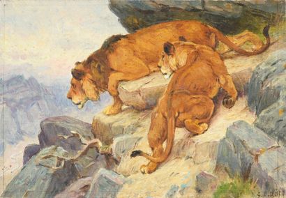 Georges Frédéric ROTIG (1873 - 1961) Lioness and lion on the lookout on the rocks.
Oil...