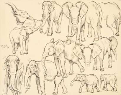 Georges Frédéric ROTIG (1873 - 1961) Etude d'éléphants.
Crayon, signé et daté 32...