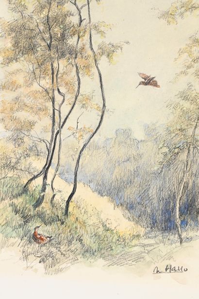 Charles HALLO (1882-1969) The woodcocks.
Drawing in colors, signed at the bottom...