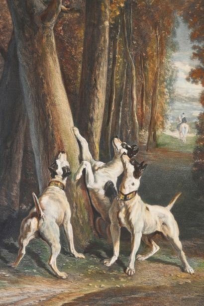 Alfred de Dreux (1810-1860) attribué à Chiens et chat
Lithographie en couleur
53...