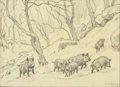 Georges Frédéric ROTIG (1873 - 1961) Boars in the snow.
Pencil, signed lower right.
Framed.
D....