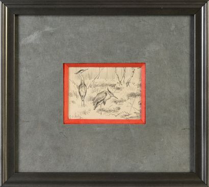 Georges Frédéric ROTIG (1873 - 1961) Two herons.
Pencil, signed lower left.
Framed.
D....