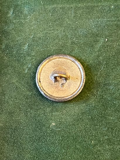 null Button of vest of the house of the King (1816-1824)