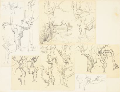 Georges Frédéric ROTIG (1873 - 1961) Etudes d'arbres.
Crayon, deux signés et datés...
