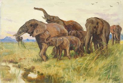 Georges Frédéric ROTIG (1873 - 1961) Troupeau d'éléphants.
Huile sur toile, signée...
