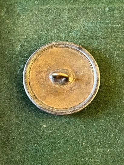 null Button for the King's stable (1814-1830)