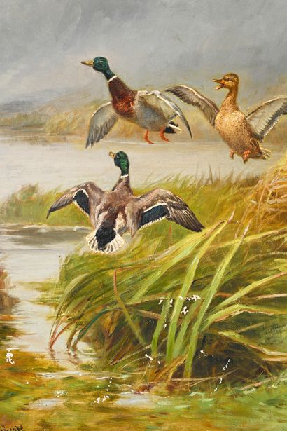 Jules et Gaston GELIBERT (1850 - 1931) Setters and green collars.
Canvas, signed...