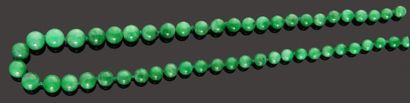 null Collier de perles de jade en chute, petit fermoir en argent. Diamètre des perles:...