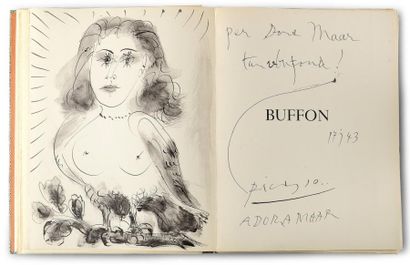 Pablo PICASSO (1881 - 1973) 40 Dessins de Picasso en marge du Buffon Album n° 954....