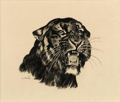 André JOUVE Tête de tigre. Dessin au crayon signé en bas à gauche. Dim. 24x29 cm