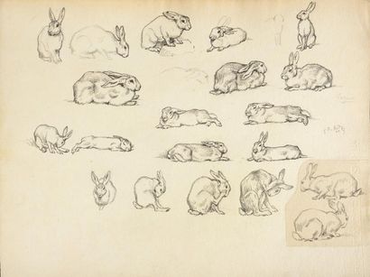 Georges Frédéric RÖTIG (1873-1961) Etude de lapin Dessin au crayon signé au milieu...