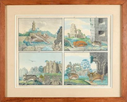 Aloys ZOTL (1803 - 1887) Planche de quatre chauves-souris dans des paysages Aquarelle,...