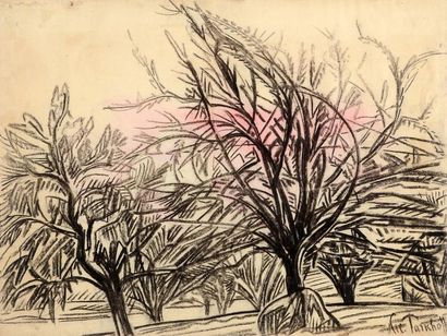 TARKHOFF Nikolaï Alexandrovitch (1871-1930) Paysage de forêt. Fusain sur papier,...