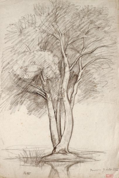 null Lot de dessins de Louis Cabat (15) Paysages aux arbres