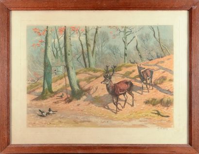 Georges FredericRotig (1873-1961) La harde en forêt Gravure signée. 54 x 70 cm.