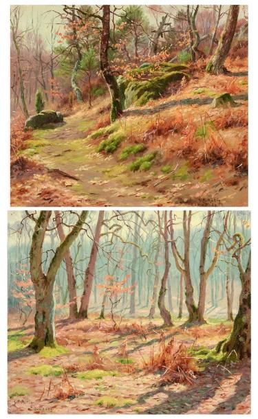 Georges Frédéric ROTIG (1873 - 1961) Deux études de paysage. Huile sur toile. Signées...
