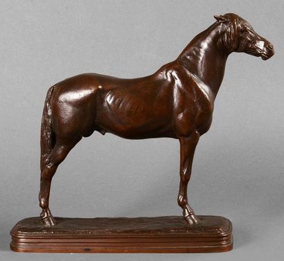 EMMANUEL FREMIET (1824 - 1910) Etalon arabe. Bronze à patine brune. Signé en creux...