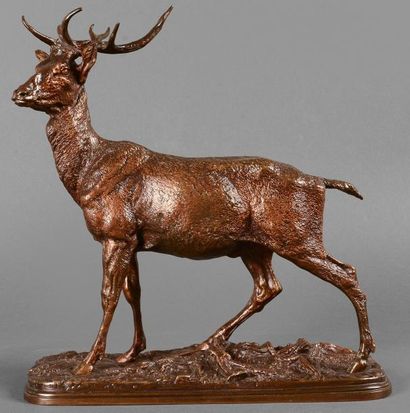 PIERRE JULES MÈNE (1810 - 1879) Cerf-dix-cors. Bronze patine médaille signé sur la...