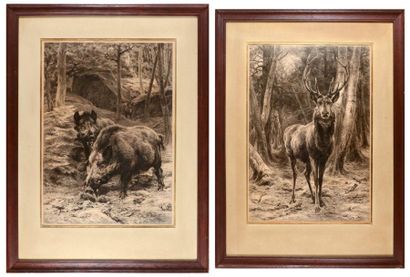 ROSA BONHEUR (1822 - 1899) Les sangliers. Le grand cerf. Deux grandes lithographies,...
