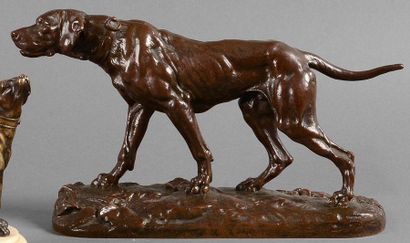 Charles VALTON (1851 - 1918) Chien braque. Bronze à patine brune signé sur la terrasse....