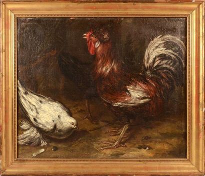 Attribué à Giovanni Agostino CASSANA (1658 - 1720) Coq, colombe et poule Toile 63...