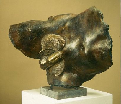 GOLOGORKY Ammonite (Amonit) Bronze 45 X 37 cm