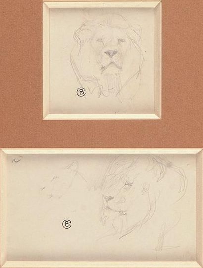 Valentin Serov (1865-1911) «Etude de lion» Dessins à la mine de plomb signés du cachet...