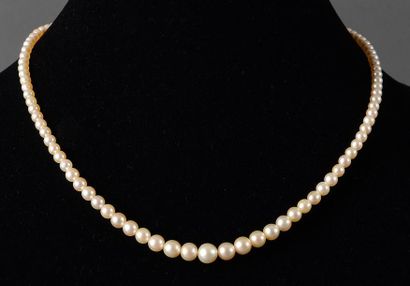 null Un collier de 117 perles fines montées en chute, disposées sur un fil, muni...