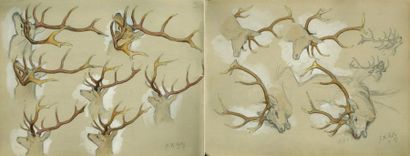 Georges Frédéric ROTIG (1873-1961) Etudes de bois de cerfs Deux dessins au crayon...