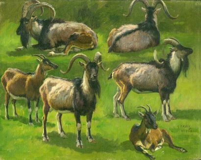 Georges Frédéric ROTIG (1873-1961) Etudes de mouflons et de chèvres Huile sur toile....