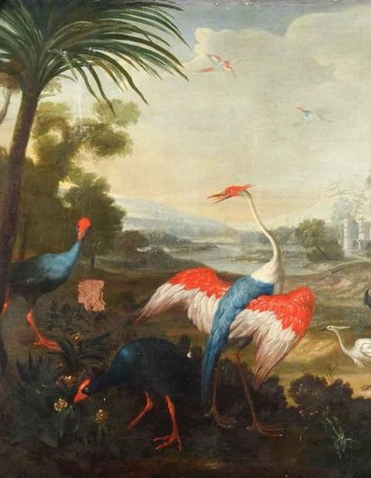 Attribué à Christophe HUET (1700 - 1759) Grues cendrées, poules sultanes et autres...