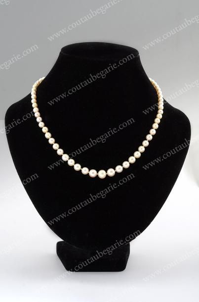 null Un collier de perles fines en chute, composé de 67 perles avec de petites perles...