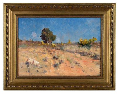 Frédéric de Montenard (1849-1926) Paysage de garrigue Huile sur panneau. 31 x 43...