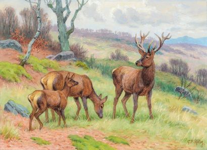 Georges Frédéric ROTIG (1873 - 1961) Harde de cerfs et de biches. Aquarelle sbd....