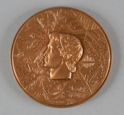 null 1968. Grenoble. Médaille officielle de participant. En bronze. graveur Coeffin....