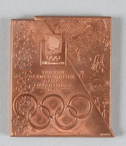 null 1994. Lillehammer. Médaille officielle de participant. Graveur M. Kleppan. Métal...