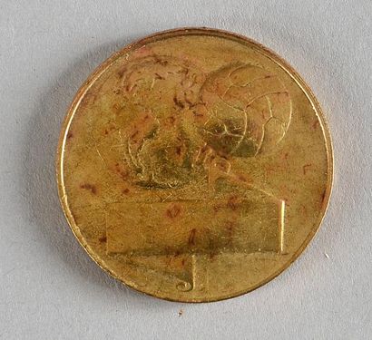 null Médaille commémorative de la Coupe du Monde 1962 au Chili. En bronze doré. Diamètre...