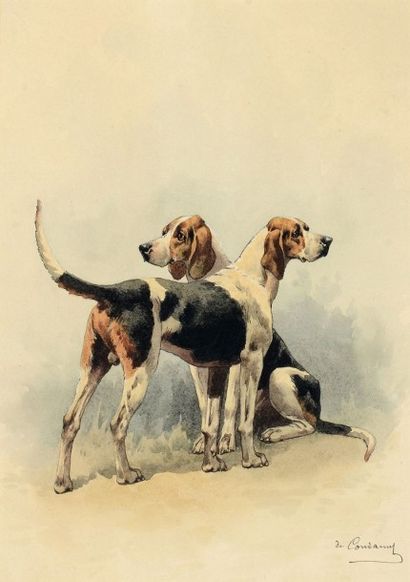 Charles Ferdinand de CONDAMY Deux chiens Aquarelle à rehauts de gouache. 26 x 21...