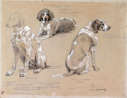 Jules-Bertrand GELIBERT Etude de chiens de meute griffons. Dessin au crayon avec...