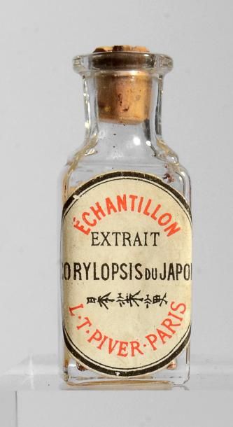 Louis Toussaint Piver «Corylopsis du Japon» - (années 1910) Rarissime flacon diminutif...