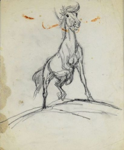 Cuvelier, Paul Etude de cheval au crayon, probablement de la période «Wapi» c'est...