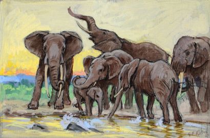 Georges Frédéric ROTIG (1873-1961) 
Etude d'éléphants
Gouache
Signée en bas à droite.
17...