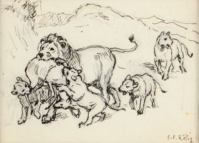 Georges Frédéric ROTIG (1873-1961) 
Etude de lions
Crayon et encre
Signée en bas...