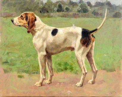 Georges Frédéric ROTIG (1873-1961) 
Etude de chien de chasse
Huile sur toile
Quelques...