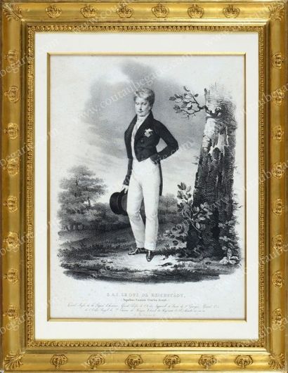 École Française du XIXe siècle 
Portrait du duc de Reichstadt (1811-1832). 
Lithographie...