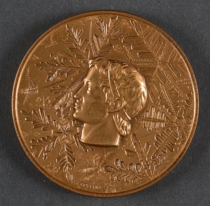 null 1968. Grenoble. Médaille officielle de participant. En bronze. Design Coeffin....
